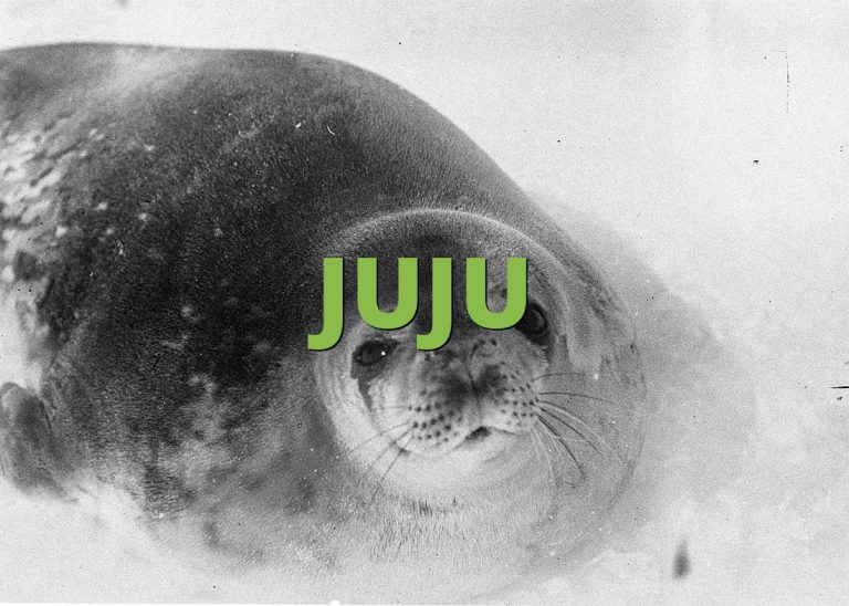 JUJU » What does JUJU mean? »