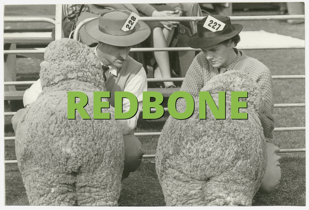REDBONE » What does REDBONE mean? »