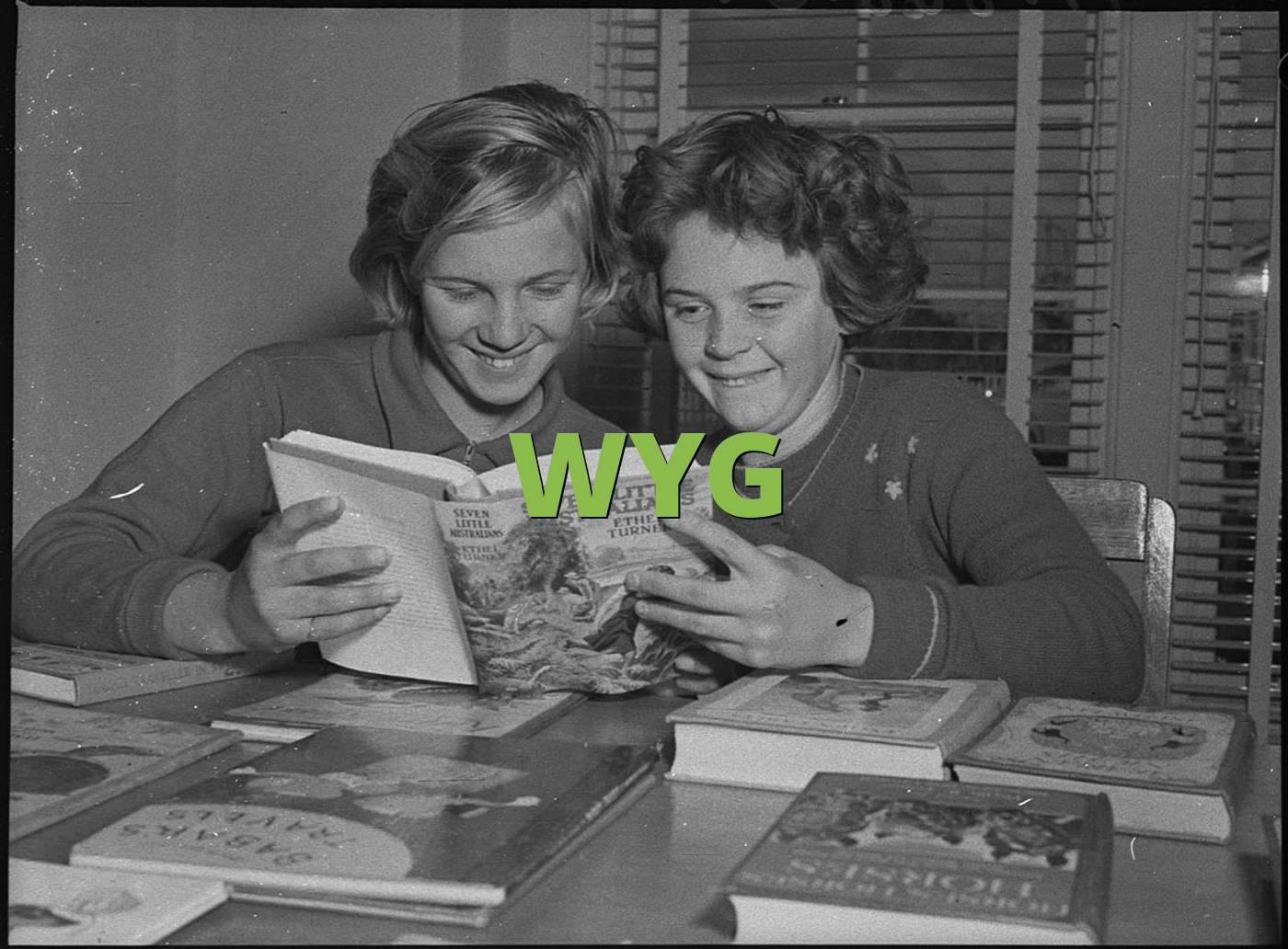 WYG Meaning » What does WYG mean? »