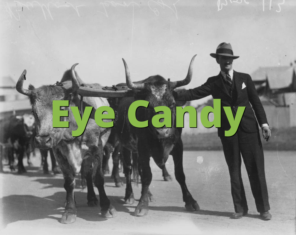 Eye Candy » What does Eye Candy mean? »