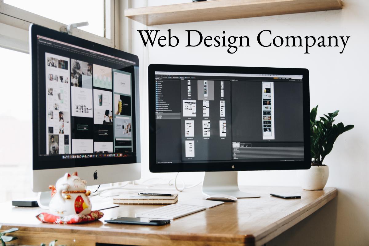 Web Design Company Service, types, and More