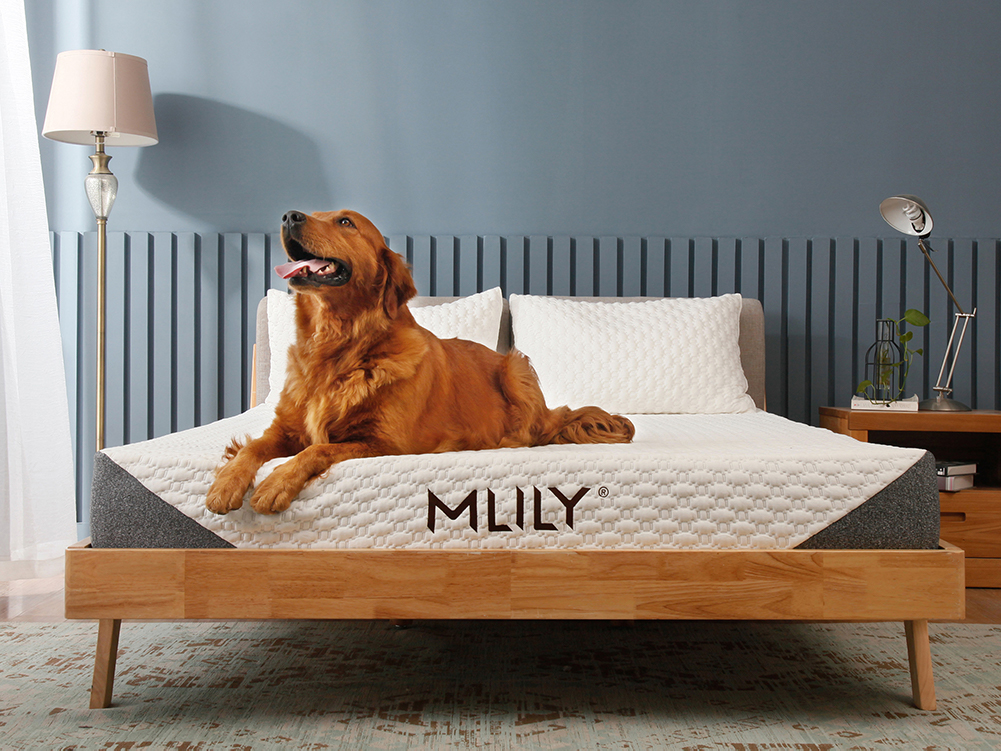 MLILY Harmony Plus Mattress Sleep Cheap Mattresses