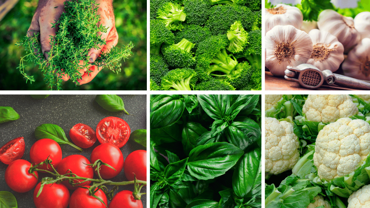 30 Fast Growing Vegetables In Pots (Growth Time Mentioned) Slick Garden