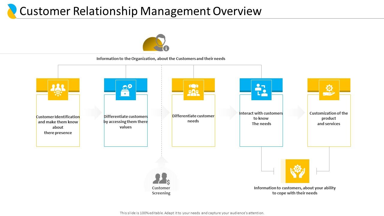Customer Relationship Management Overview Ppt Professional Graphics