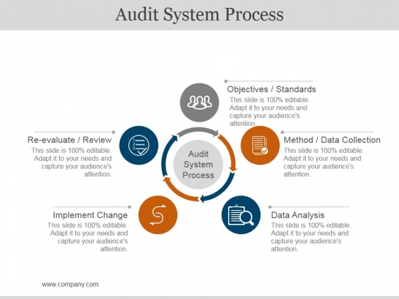 Audit System Process Ppt PowerPoint Presentation Professional