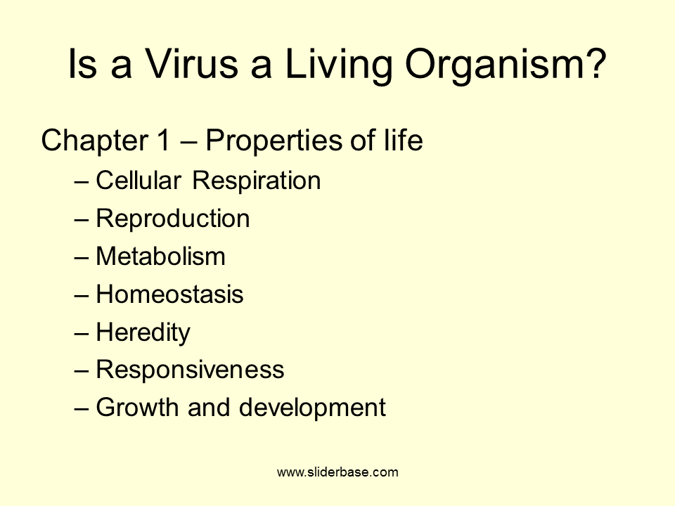 Viruses and HIV Presentation Health and Disease