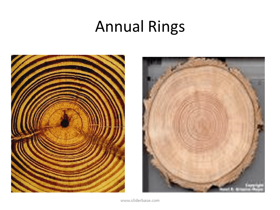Formation of Lenticles
