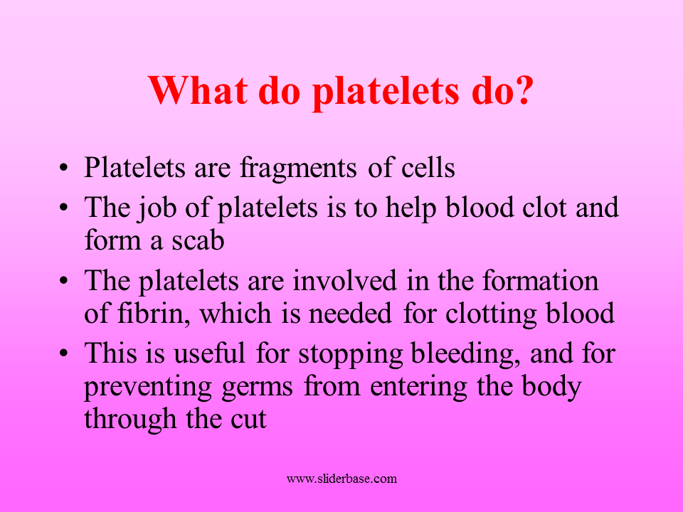 The components of the blood and their jobs Presentation Biology