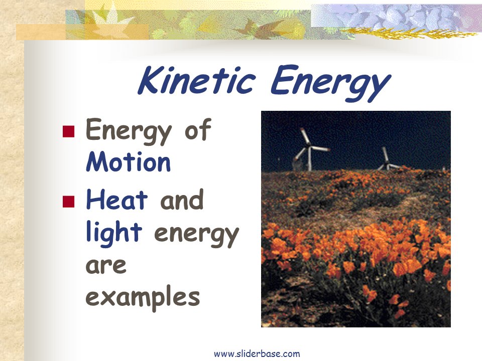 Bioenergetics Presentation Biology