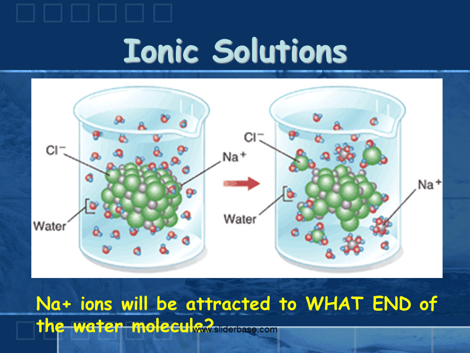 Properties of Water Presentation Biology
