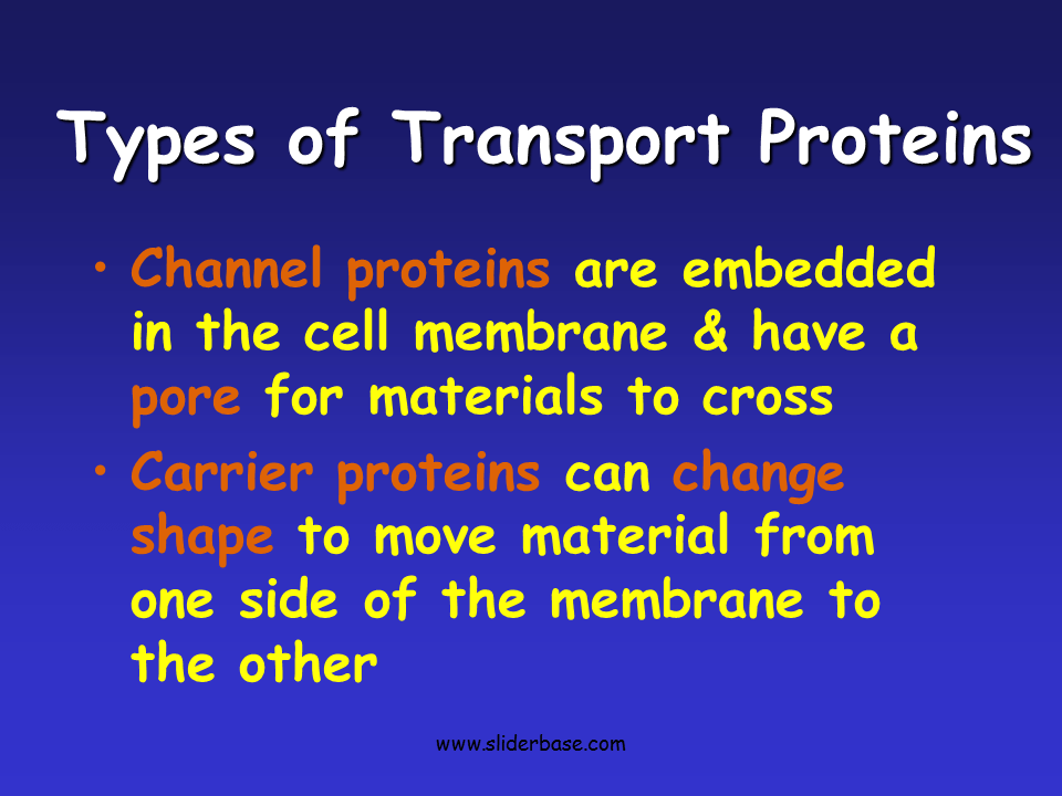 Cytolysis & Plasmolysis