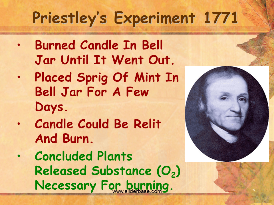 Cells Using Biochemical Energy