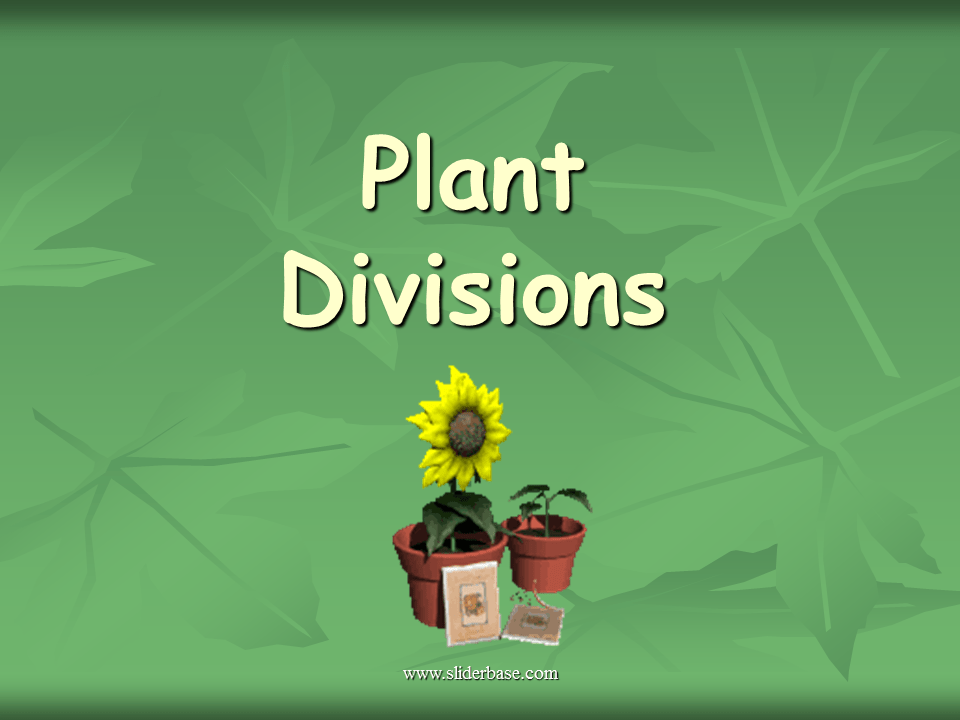 Alternation of Generations