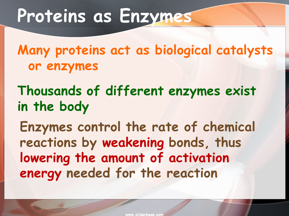 Proteins