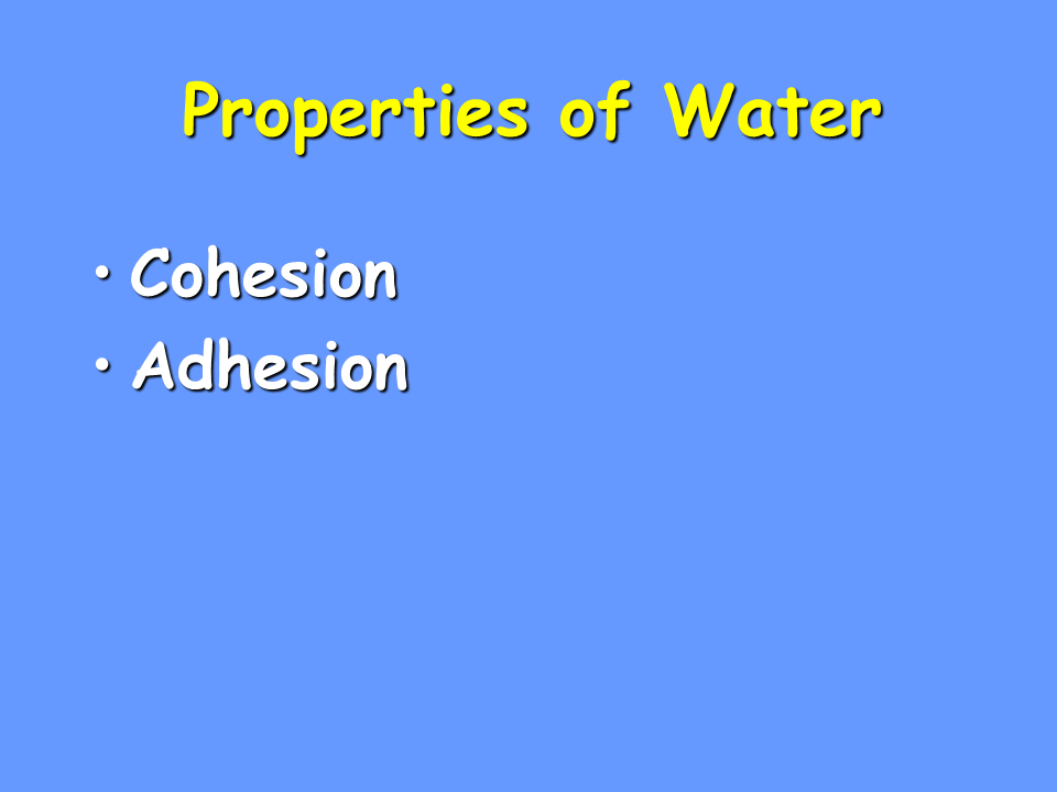 Properties of Water Presentation Biology
