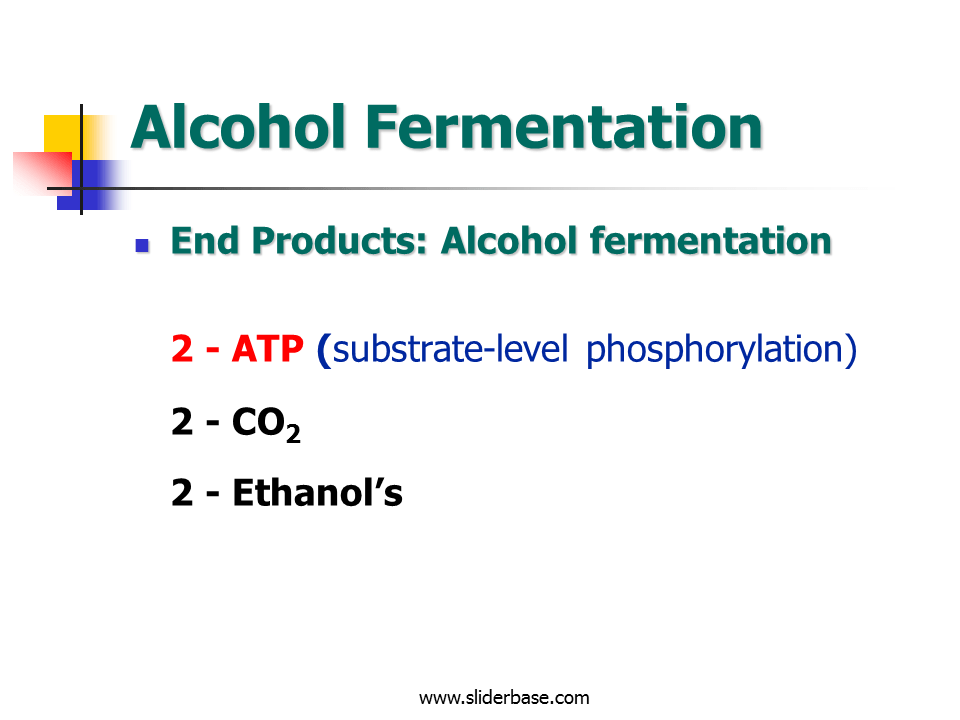 SubstrateLevel Phosphorylation