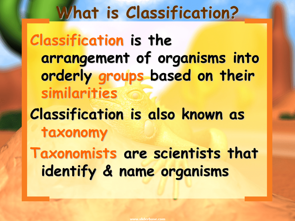 Classification Presentation Biology