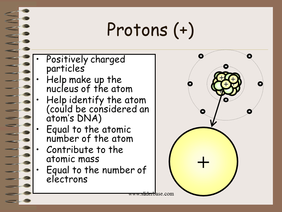 Protons (+)