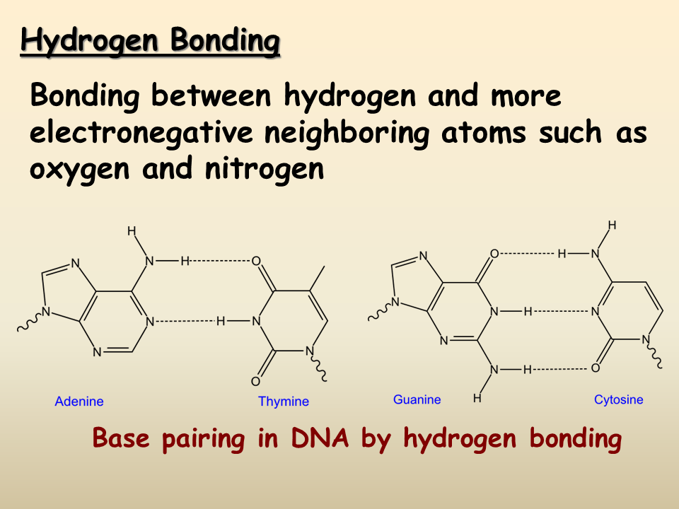 Intermolecular Forces of Attraction Presentation Chemistry