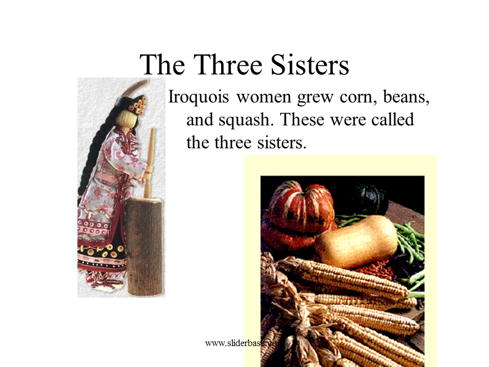 Iroquois Life Presentation History