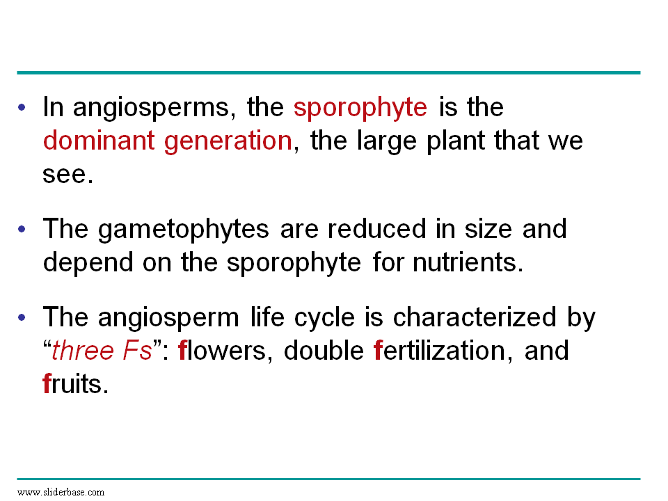 Plants reproduce sexually, asexually, or both