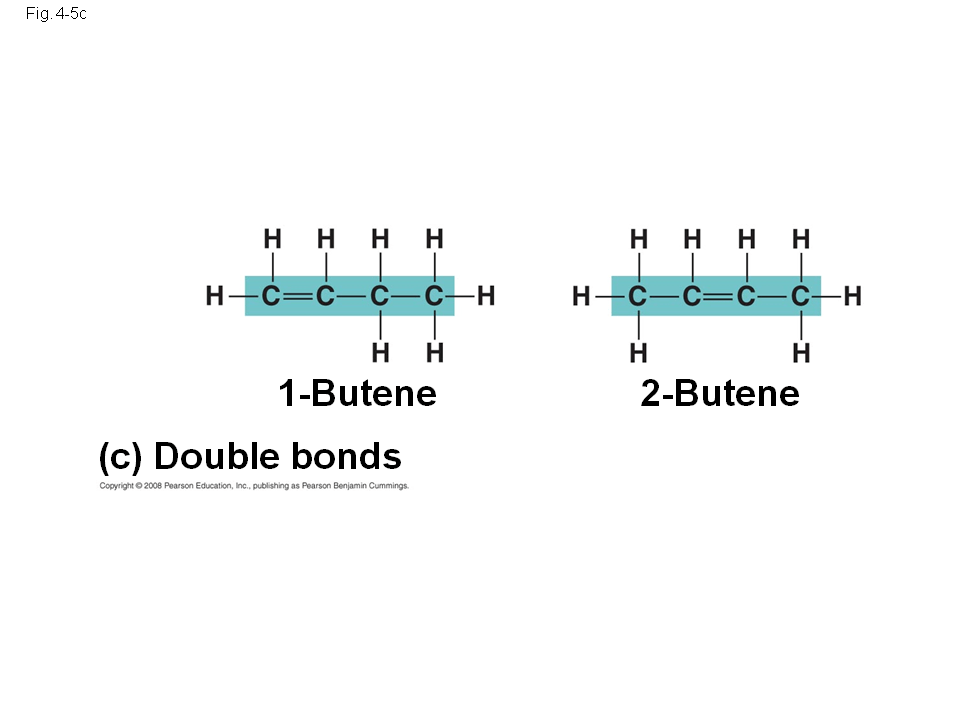 Molecular Diversity Arising from Carbon Skeleton Variation