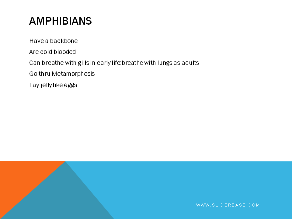 Definition of vertebrates Presentation Biology
