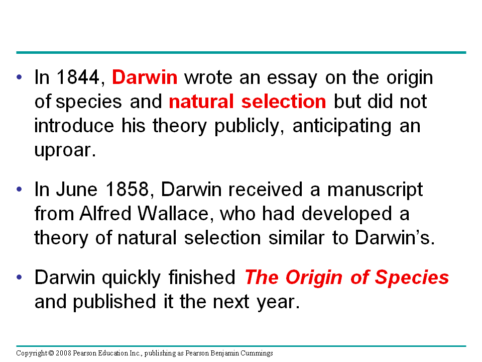 ⛔ Natural selection essay. Essay On Charles Darwin's Theory Of Natural