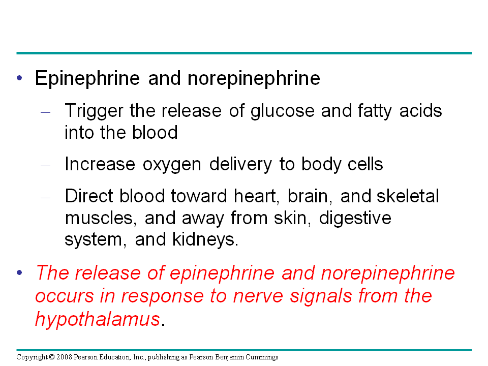 Adrenal Hormones Response to Stress