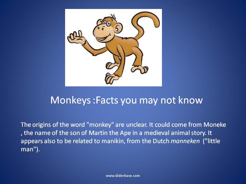 Monkeys Facts you may not know Presentation Biology