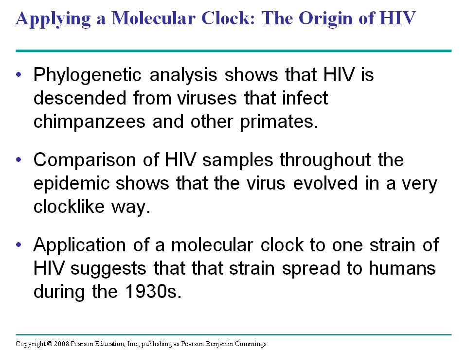 Applying a Molecular Clock The Origin of HIV