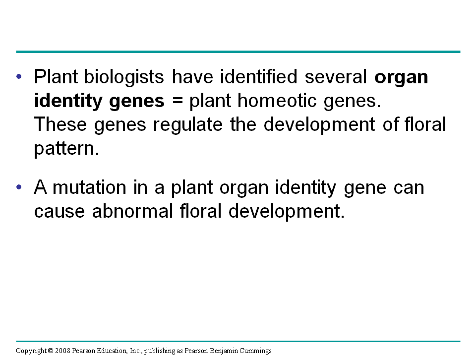 Location and a Cell’s Developmental Fate