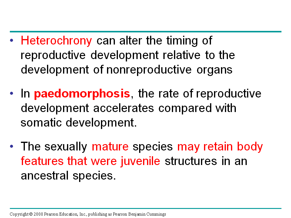 Studying mechanisms of change can provide insight into large