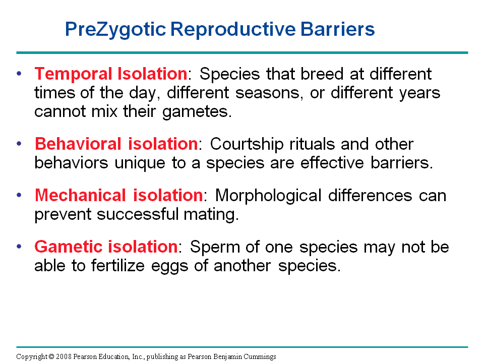 Hybrid Zones over Time