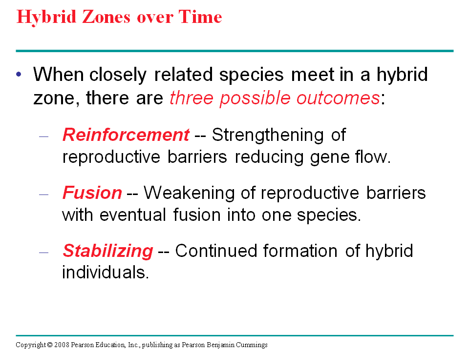 Hybrid Zones over Time