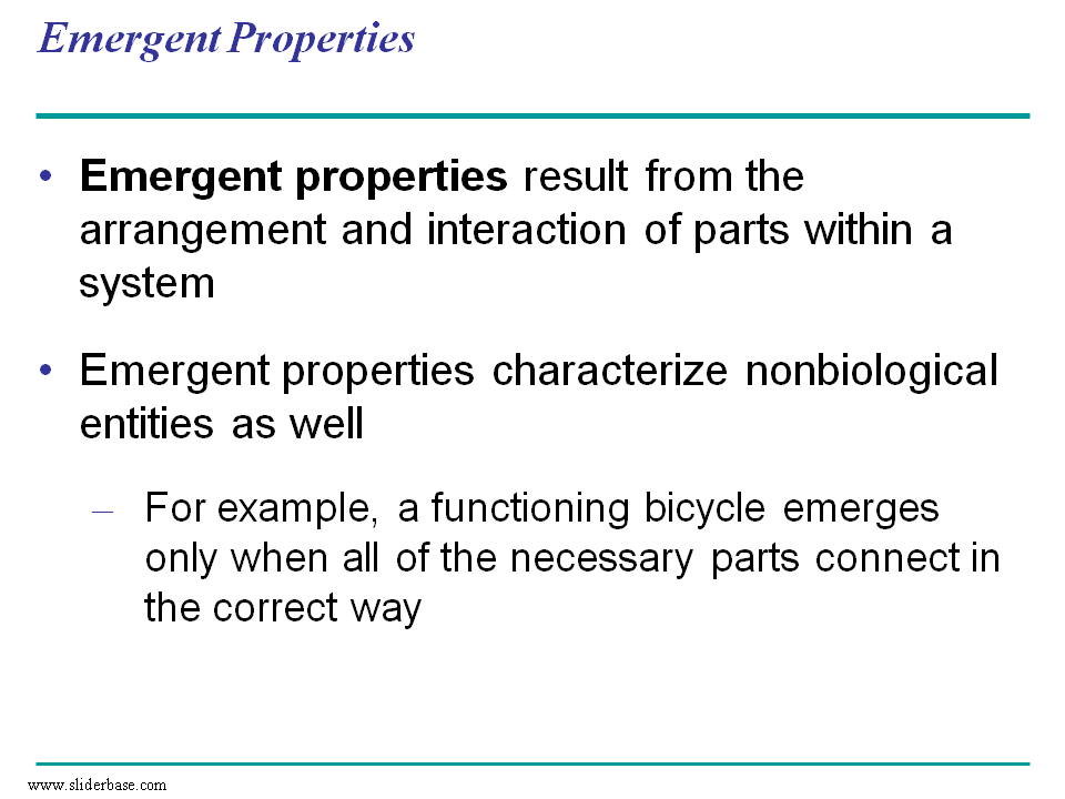 Ñëàéä 16 Fig. 14 The biosphere Communities Populations Organisms