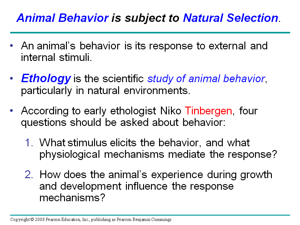 Animal Behavior Presentation Biology