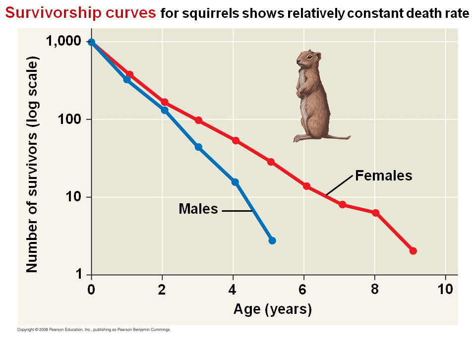 Zero population growth = High birth rate High death rate Zero