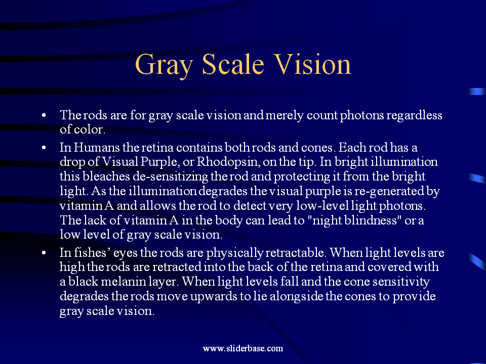 Compare Visual System of Fish to Human Presentation Physics
