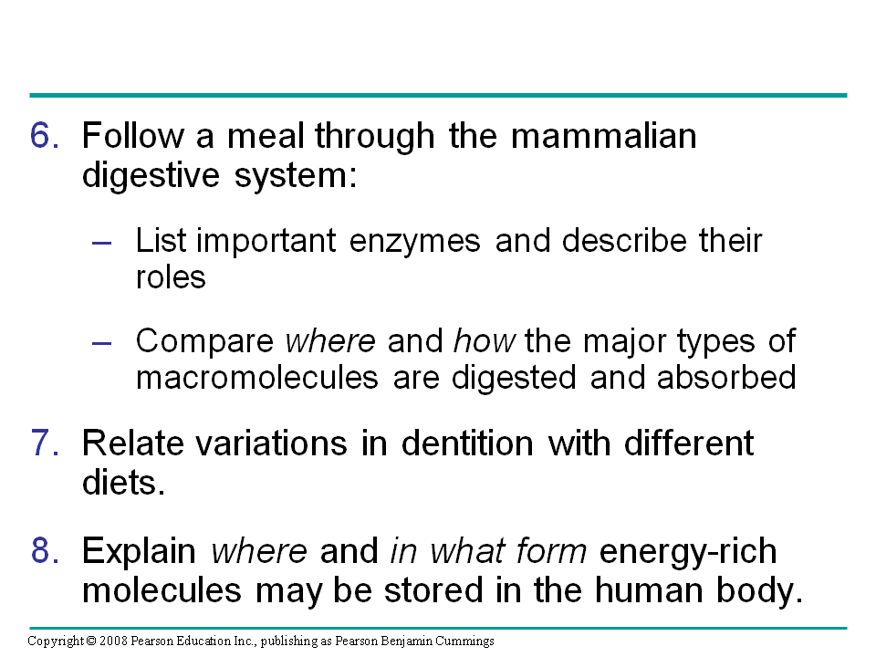 Organs specialized for sequential stages of food processing form the