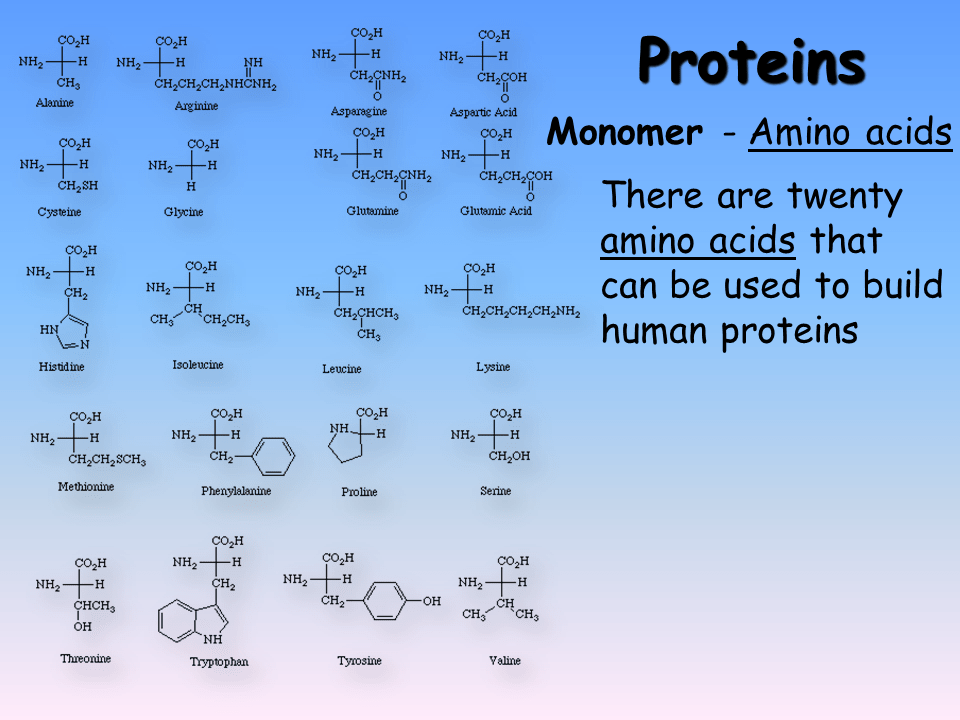 Polymers Presentation Chemistry