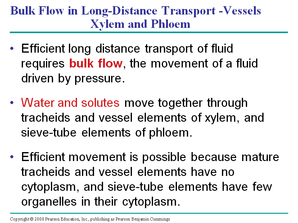 Bulk Flow in LongDistance Transport Vessels Xylem and Phloem