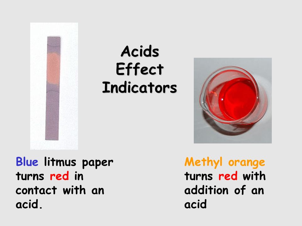 Properties of Acids Bases Presentation Chemistry