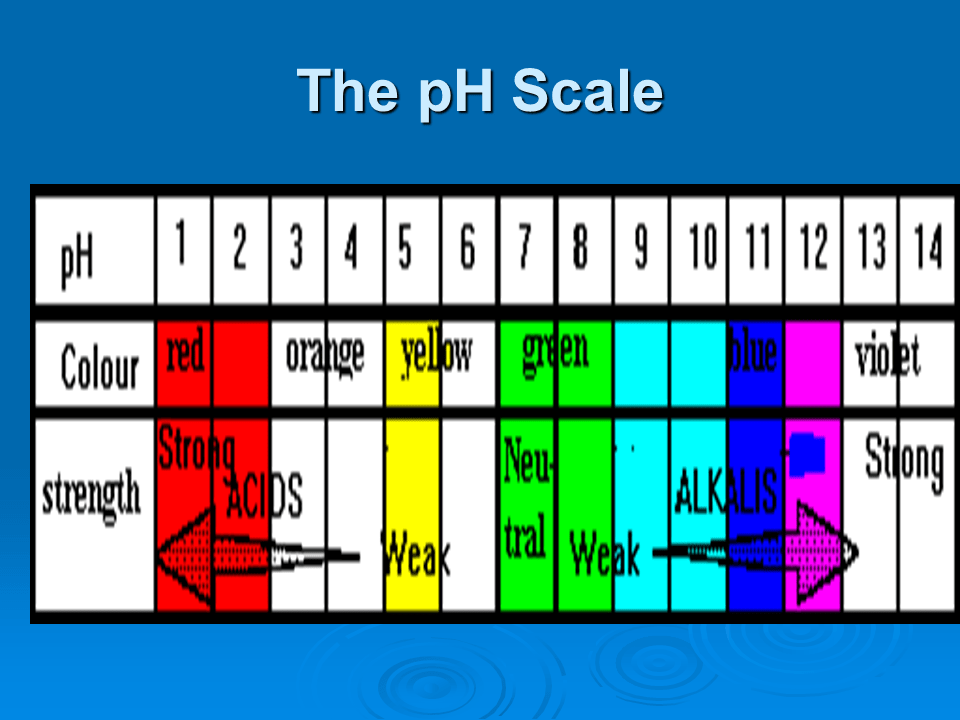 Acid, bases and salts Presentation Chemistry