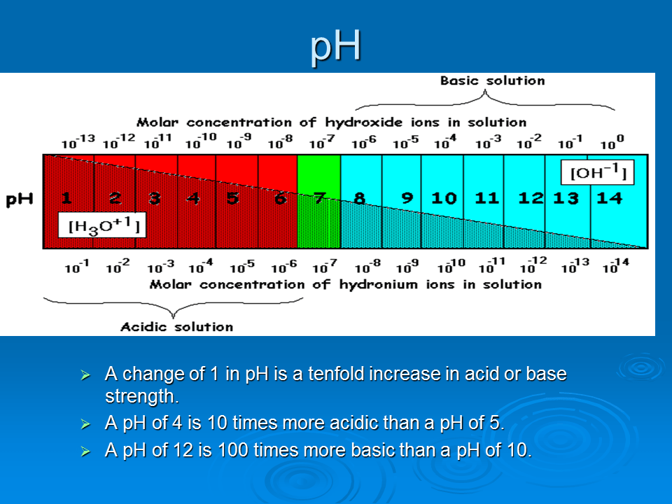 Acid, bases and salts Presentation Chemistry