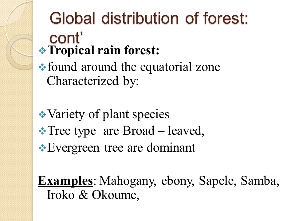 Economic importance of forest