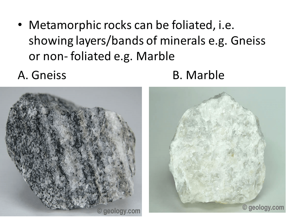 Foliated Vs Non Foliated slideshare