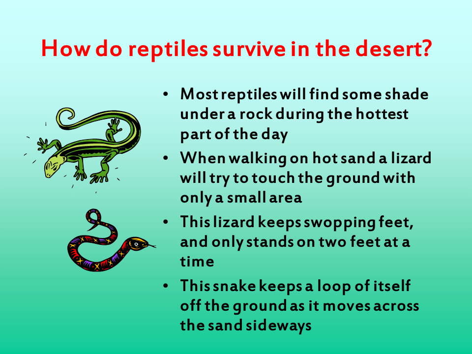 How do these adaptations help?