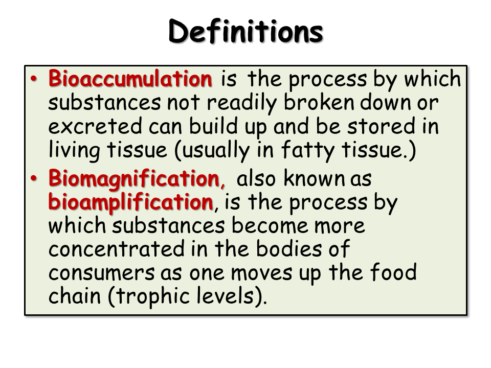 Biomagnification Presentation Biology