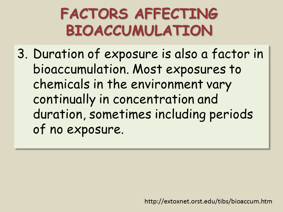 Biomagnification Presentation Biology
